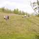 Picnic 2007